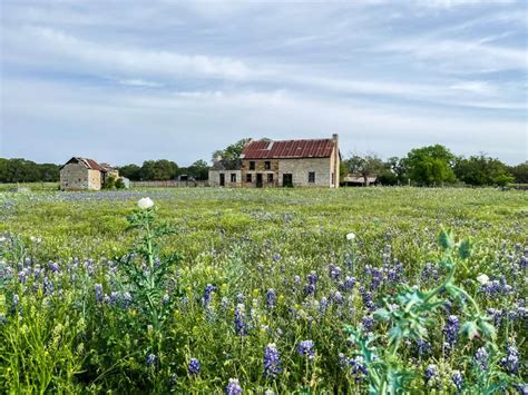 Where to Find Bluebonnet Fields in Texas in 2024 - VERY TRULY TEXAS