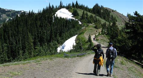 Hiking - Olympic National Park (U.S. National Park Service)