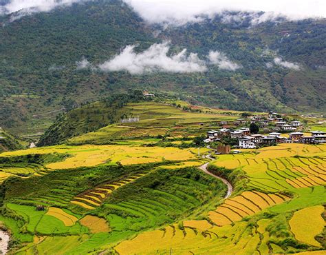 Punakha Weather and Climate: Best Time to Visit Punakha, Bhutan 2024