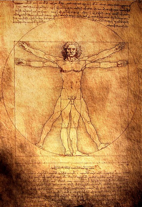 Pin by Pinner on My Science | Vitruvian man, Da vinci vitruvian man ...