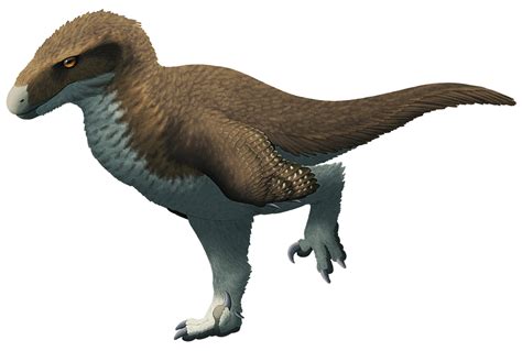 Utahraptor Feathers