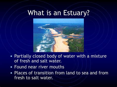 PPT - Salt Marshes and Estuaries PowerPoint Presentation, free download ...