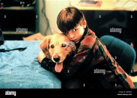 Kevin zegers dog air bud hi-res stock photography and images - Alamy