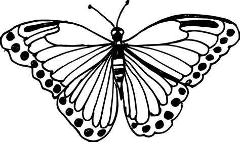 10 Butterfly Drawing (PNG Transparent) | OnlyGFX.com