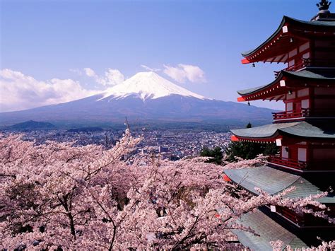 Mount Fuji Cherry Blossom Wallpapers - Top Free Mount Fuji Cherry ...