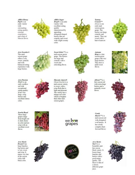 What Are Gum Drop Grapes - GreenThumbsGuide