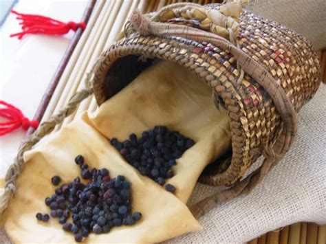 Shoshone berries in basket – Restoring Shoshone Ancestral Food