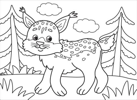 Bobcat coloring page | Free Printable Coloring Pages