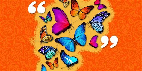 30+ Butterfly Quotes That Will Inspire You To Keep Flying - DodoWell ...