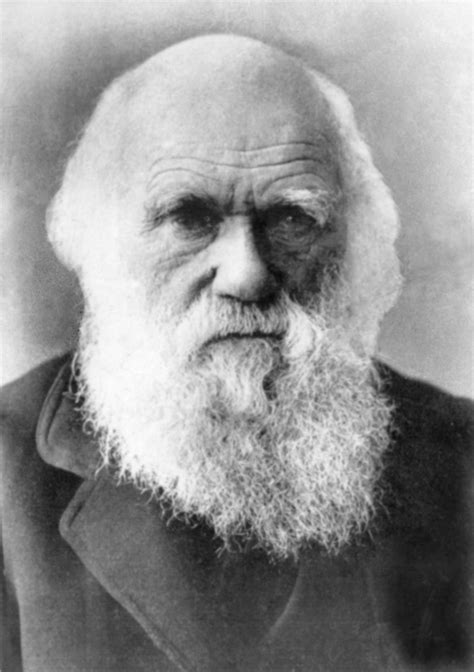 8 Inspirational Sayings From Charles Darwin | Discover Magazine