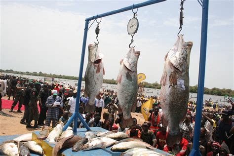 Branding Nigeria’s biggest fish feast - The Nation Newspaper