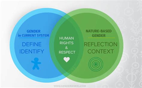 5 Keys Areas that Distinguish the Gender Wheel - What Makes us ...