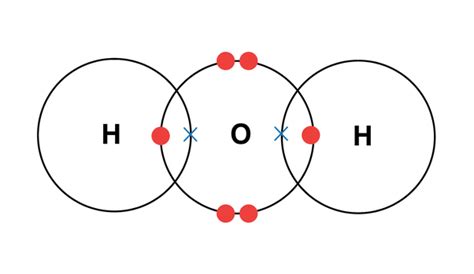 How many covalent bonds are present in a water molecule? - Quora