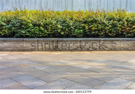 Decorative Plants Sidewalk Stock Photo 180133799 | Shutterstock