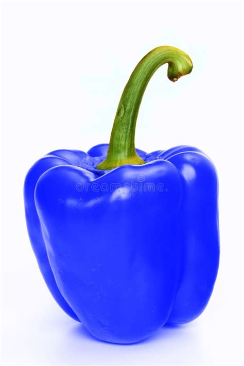 Blue pepper stock image. Image of health, abnormal, extraordinary - 13675605