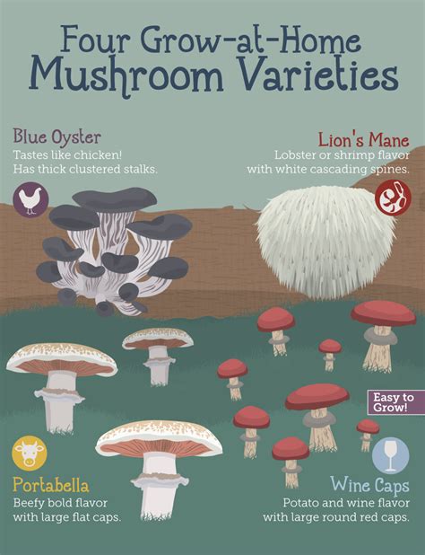 How To Grow Mushrooms - Database Plants