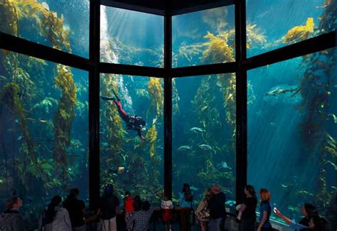 Cannery Row & Monterey Bay Aquarium - Best Tours & Travel