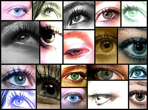 Eye Collage by FunkMastaFlynn on DeviantArt