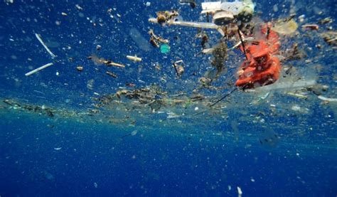 A Plastic Ocean: Film Screening and Discussion, March 23 – Blue Ocean Society for Marine ...