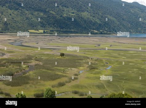 Chile Lake District Stock Photo - Alamy