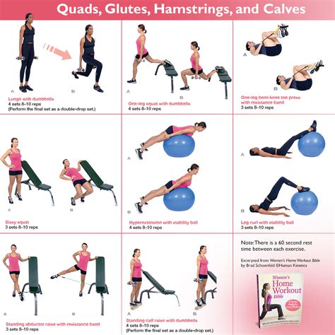 Quads, glutes, hamstrings and calves workout – Human Kinetics