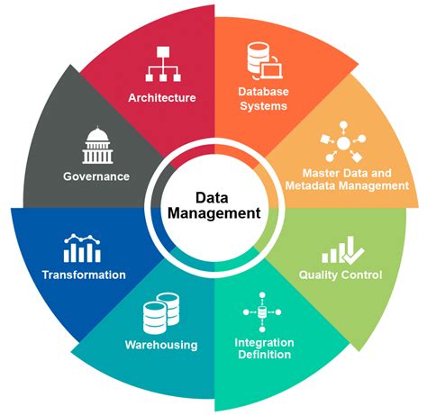 Database Management System Environment - LiliannaewaBecker