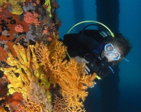 Diving in St Vincent with Indigo Dive at Buccament Bay Resort, St Vincent & The Grenadines