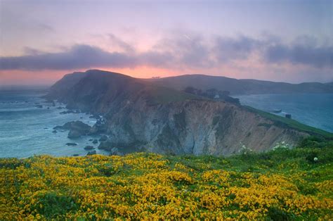 A Guide to Camping at Point Reyes National Seashore