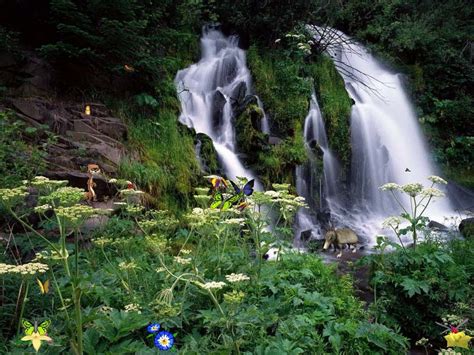 Charming Waterfalls - Free Popular Screensaver - FullScreensavers.com