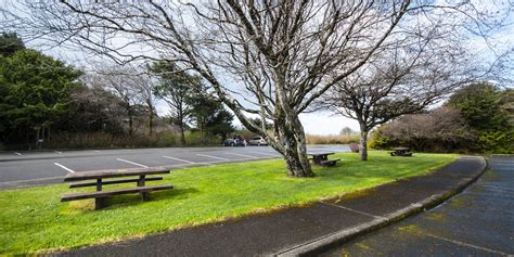 Kalaloch Campground | Outdoor Project