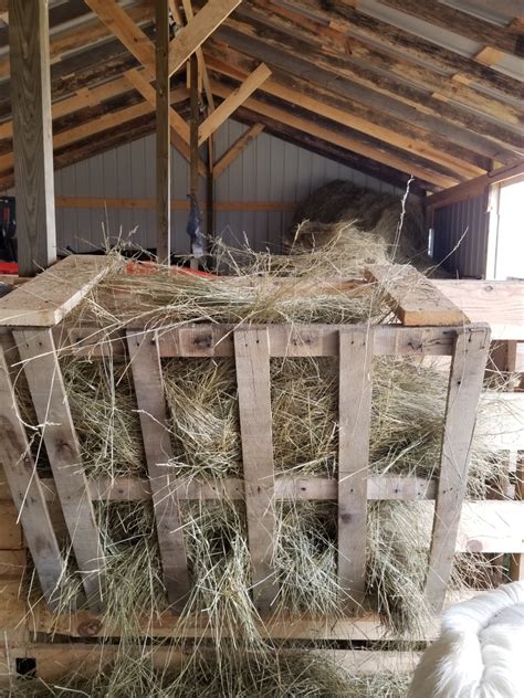 How to Build a Hay Feeder for (Practically) Free from Scraps