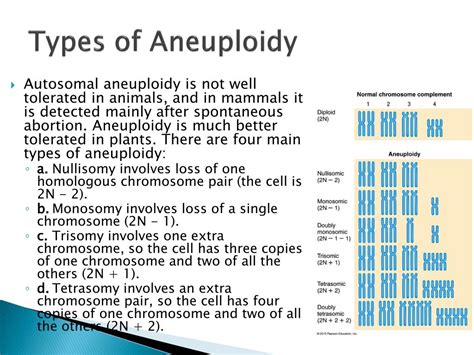 PPT - Chapter 16 Variations in Chromosome Structure and Number PowerPoint Presentation - ID:3300240