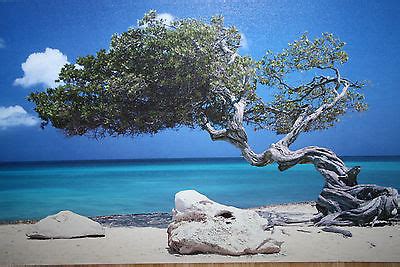 IKEA Canvas Wall Art Painting "Divi Divi Tree Aruba" - Beach Scene | #492968467