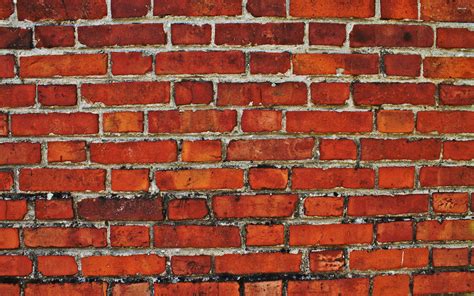 Free download Brick wall wallpaper 2560x1600 more [2560x1600] for your ...