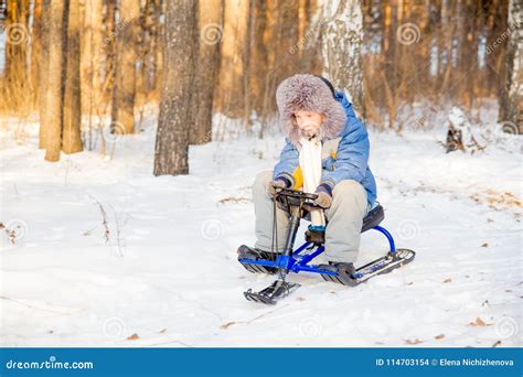 Kids Playing Outside in Winter Stock Photo - Image of little, activity: 114703154