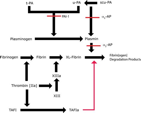 Fibrinolysis: Introduction