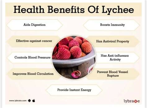 Pin by bo&me on body in 2020 | Lychee benefits, Digestion, Diet and nutrition