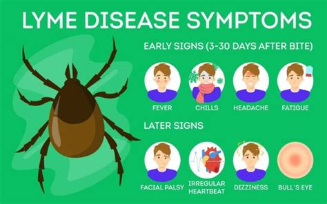 Lyme Disease - Causes, Symptoms, and Treatments - Health2wellness