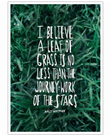 "I believe a leaf of grass is no less than the journey-work of the stars" Walt Whitman Art Print ...