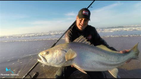 Mulloway Beach Fishing Rig at Madeline Burwell blog