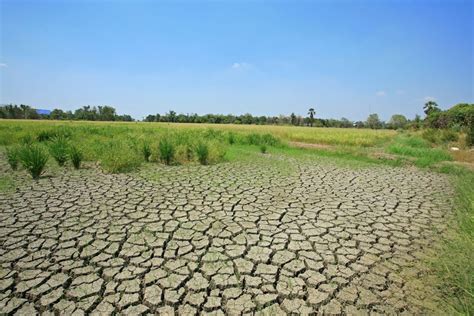 Land Degradation: A Looming Environmental Crisis