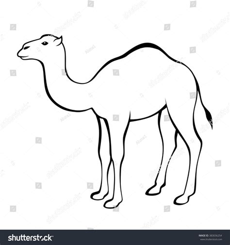 12,199 Camel Drawing Images, Stock Photos & Vectors | Shutterstock