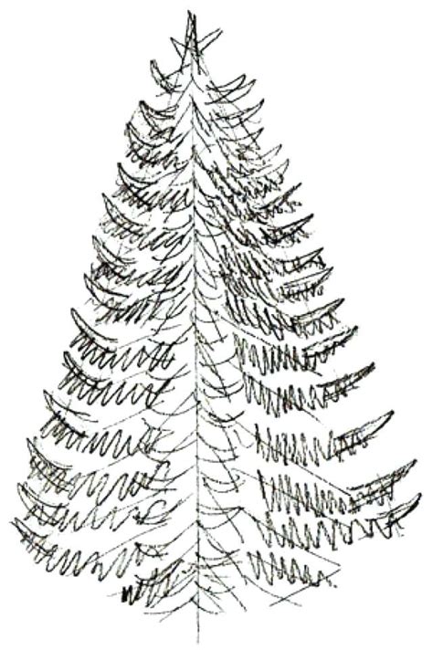 Christmas Tree Drawing Outline at PaintingValley.com | Explore ...