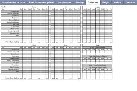 Horse Care Daily Checklist