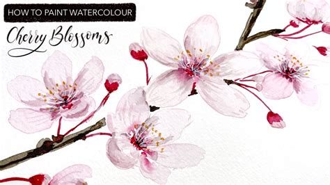 How To Paint Watercolour Cherry Blossoms - YouTube