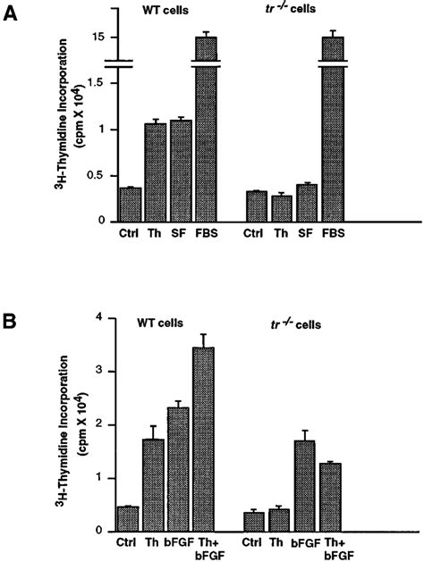 Thrombin-and thrombin receptor agonist peptide-induced DNA synthesis in ...