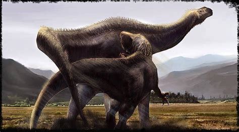 Carcharodontosaurus and Paralititan, a showdown of giants : r/Naturewasmetal