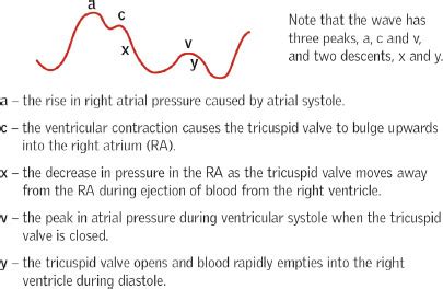 Measuring Central Venous Pressure