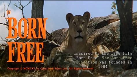 Born Free Foundation Promo 2016 - YouTube