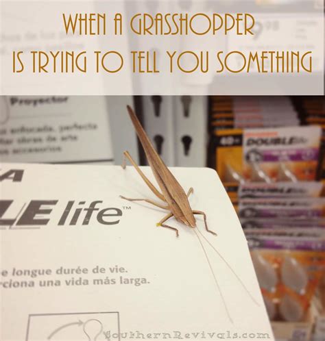 Grasshopper Quotes. QuotesGram